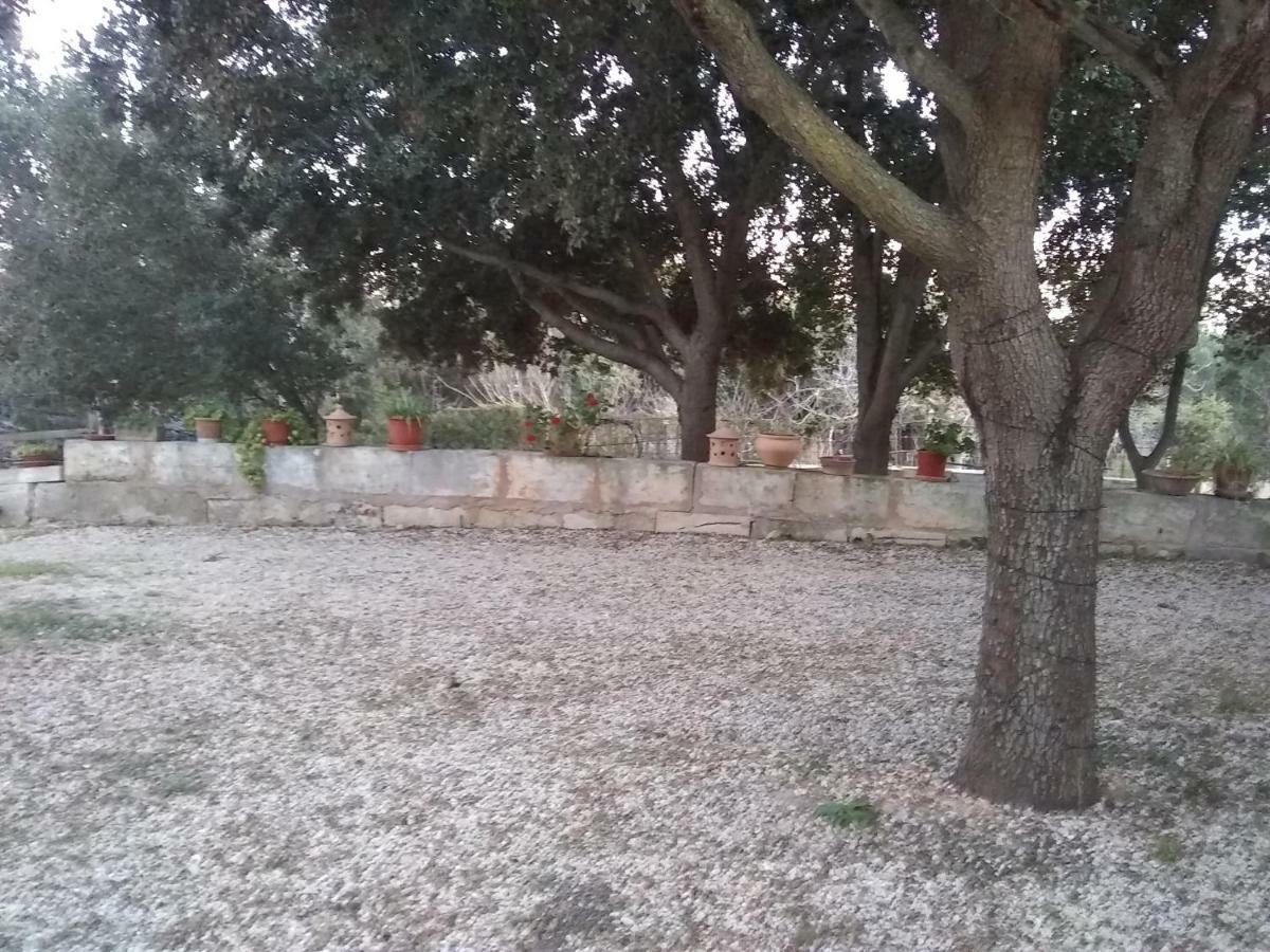 Ses Alzines Apartamento Integrado En Casa Rural Habitada Llucmajor Kültér fotó